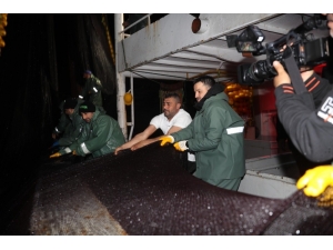 Balıkçılık Av Sezonu Bugün Sona Erdi