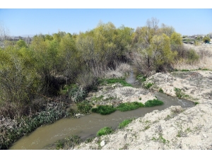 Büyükşehir Vektörle Mücadelesine Hız Verdi