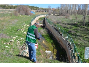 Bünyan Belediyesi Haşereler İçin İlaçlama Çalışmalarına Devam Ediyor