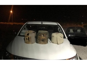 Kırıkkale’de Kaçak Avcılara 9 Bin 700 Lira Ceza