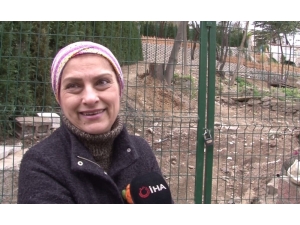 İletişim Başkanı Fahrettin Altun’a Ünlü Sanatçı Şükriye Tutkun’dan Destek