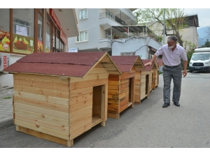 Evde Kaldı, Sokak Hayvanları İçin 5 Ev Yaptı