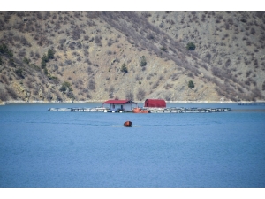 Alabalık Tesisinden 300 Kg Balık Çaldılar