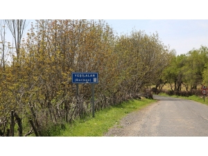 Mardin’de Bir Mahalle Karantinaya Alındı