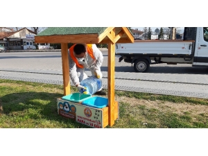 19 Mayıs Belediyesi Sokak Hayvanlarını Unutmadı