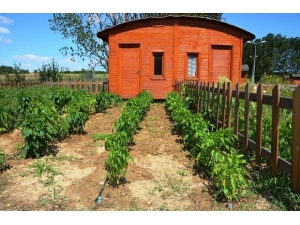 Hobi Bahçeleri Sahiplerini Çevrimiçi Kura Çekimi İle Bulacak