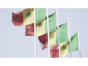 Senegal’de Vaka Sayısı 314’e Çıktı