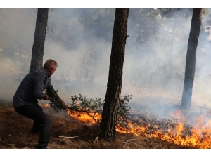 Orman Yangınını İtfaiye Ve Vatandaşlar Söndürdü
