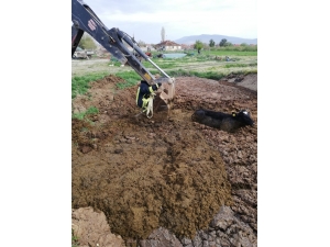 Tezek Birikintisinden Çıkamayan İneği İtfaiye Kurtardı