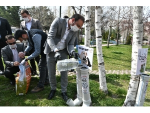 Ak Parti Ankara İl Gençlik Kolları Hayvanlar İçin Harekete Geçti