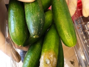 Poşette Satış Fırsatçılarına Darbe Üstüne Darbe