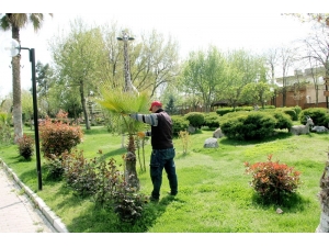 Araban Belediyesi’den Yeşillendirme Seferberliği