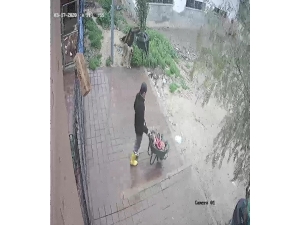 Kozan’daki Barınağa Ölü Köpekler Çuvalla Taşındı İddiası