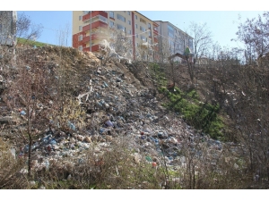 Bitlis Belediyesinin Çalışmaları Devam Ediyor