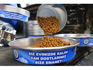 Sokak Hayvanlarına Yem Takviyesi