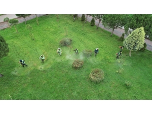 Başiskele’nin Yeşil Alanlar Bakımdan Geçiriliyor