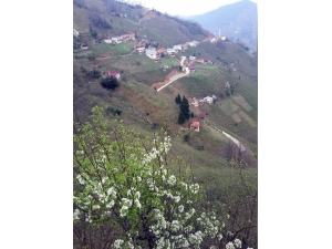 Giresun’da Bir Köy Daha Karantinaya Alındı