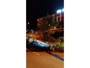 Kediyi Ezmemek İçin Ağaca Çarptı