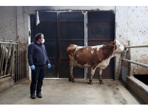 Bayburtlu Çiftçilerden Milli Dayanışma Kampanyası’na Tam Destek