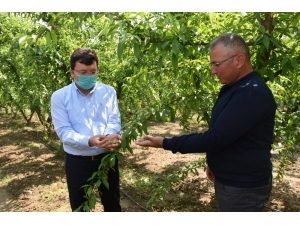 Kaymakam Şahin Tarım Üreticilerini Ziyaret Etti