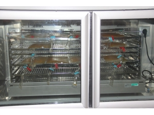 Korona Virüsten Kan Stoklarına Büyük Darbe