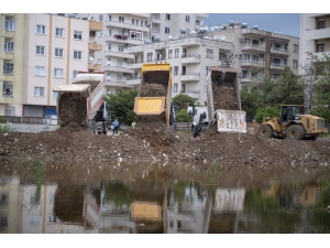 Bir Ayda Larva Ve Uçkun Oluşturan 56 Bin 82 Alanı İlaçlandı