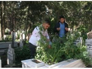 Korona Virüs Nedeniyle Mezarlıklara Ziyaretler Azaldı