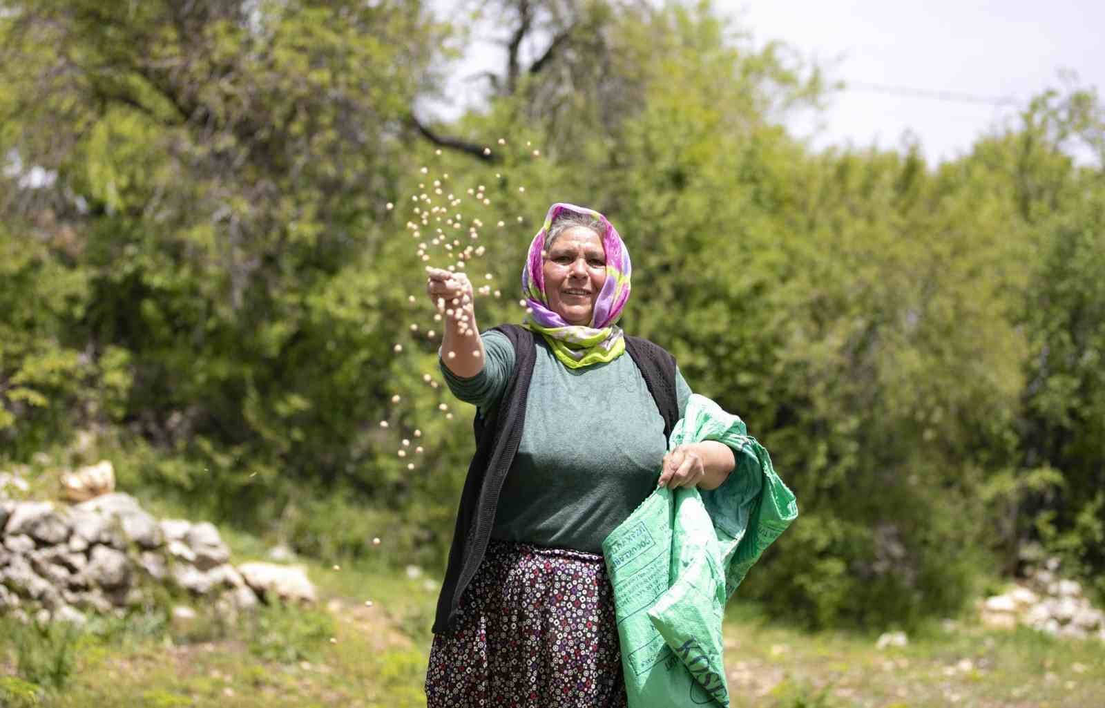 atalik-tohumlar-toprakla-bulustu-ureticiye-can-suyu-oldu