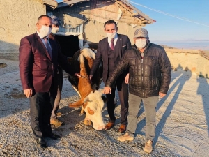 Çiçekdağlı Çiftçi ’Biz Bize Yeteriz’ Kampanyasına İneğini Bağışladı