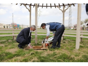 Kızıltepe Belediyesi Sokak Hayvanlarını Unutmuyor