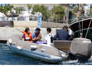 ’Issız Adada Köpek Var’ İhbarı Ekipleri Seferber Etti