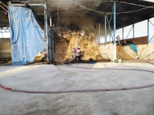 Besi Çiftçiliğinde Çıkan Yangın Kontrol Altına Alındı