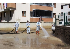 Bayburt’ta Toplum Sağlığı İçin Sterilizasyon Çalışmaları Devam Ediyor