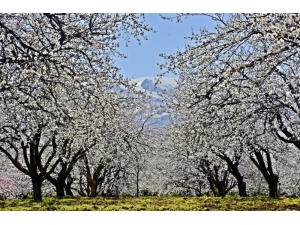 Doğu Anadolu’da Sıcaklıklar Mevsim Normalleri Civarında Seyredecek
