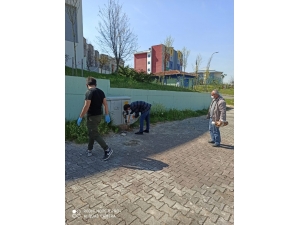 İzmit’te Sokak Hayvanları Aç Kalmıyor