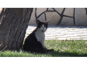 Tekirdağ Hayalet Şehre Dönüştü