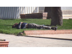 Türkiye Eve Çekildi, Cezayirli Vatandaş Parkta Uyurken Bulundu