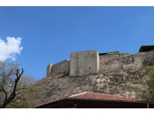 Boşalan Sokaklarda Kuş Sesleri Yükseldi