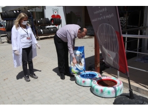 Kaymakam Köken’den Sokak Hayvanlarına Mama, Su Ve Yem
