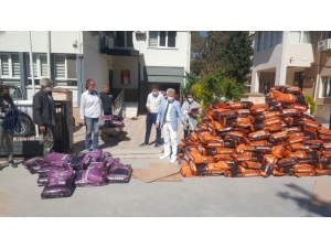 Sokak Hayvanları İçin Kuşadası’na 4 Ton Mama Gönderildi