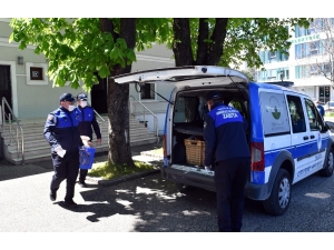 Vatandaş Evinde, Osmangazi Hizmette