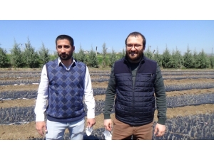 Fideleri Toprakla Buluşturdular