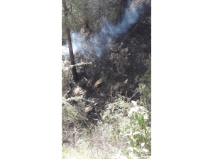 Yangını Söndürmek İsterken Canından Oldu