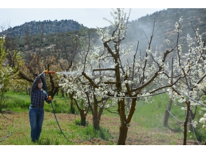 Korkuteli Kurallara Uydu, İhtiyaçlar Eve Servis Edildi