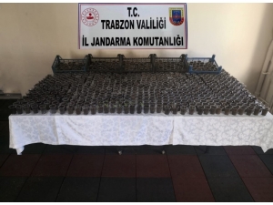 Kenevirleri Plastik Bardaklara Dikmişler