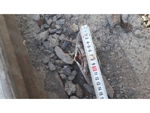 Dev Kelebek Görenleri Şaşırttı