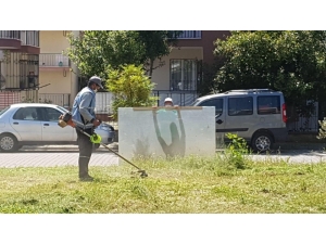 Sokaklar Boş Kalınca Belediye Ekipleri Bahar Temizliği Yaptı