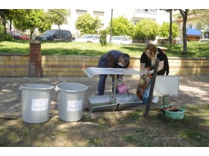 Başkanlardan Sokak Hayvanlarına Destek