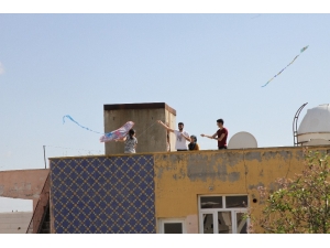 Kızıltepe’de Sokağa Çıkamayan Vatandaşlar Damlarda Uçurtma Uçurdu