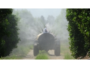 Herkes Evde Kalıyor, Çiftçiler Alın Teri Döküyor